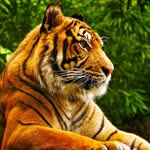 Erhan