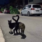 Deniz