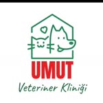 Umut