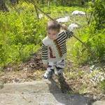 Enis