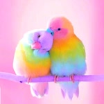 Sagar