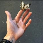 Sıla