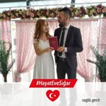 Sedat