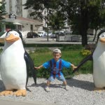 Sedat