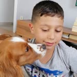 Betül