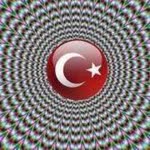 Toprak