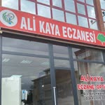 Cansu