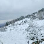 Yurdagül