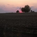 Polat