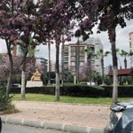 Çisil