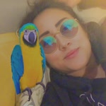 Sibel