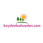 Köyden