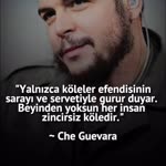 Hale