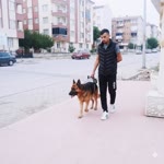 Ali
