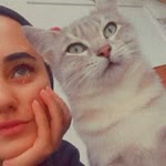 Sebnem