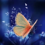 Emine