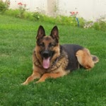 Seyhan