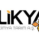 Likya