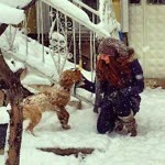 Pelin