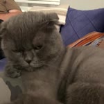 Zeynep