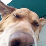 Profil fotoğrafı