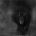 Dark