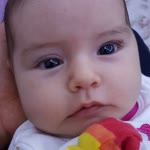 Ebubekir