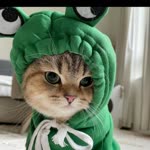 Ebrar