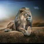 Nihat