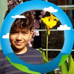 Nihal
