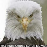Üat