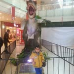Fuat