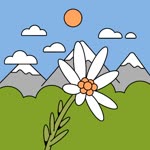 Nur