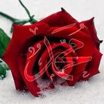 Ruhullah