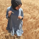 Rabia