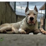 Erhan