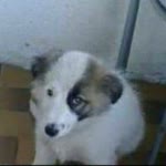 Kerem