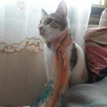 Leyla