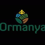 Ormanya