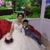Yasemin