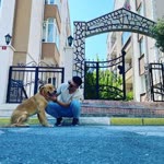 Burak