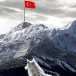 Türk