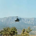 Erdal