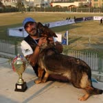 Alireza
