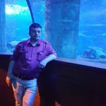 İsmail