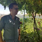 İbrahim