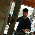 Dogan