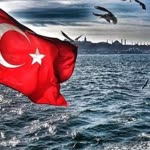 Yonca