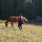 Nazlı