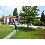 Nurgül